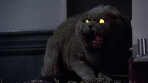 sematary definition.